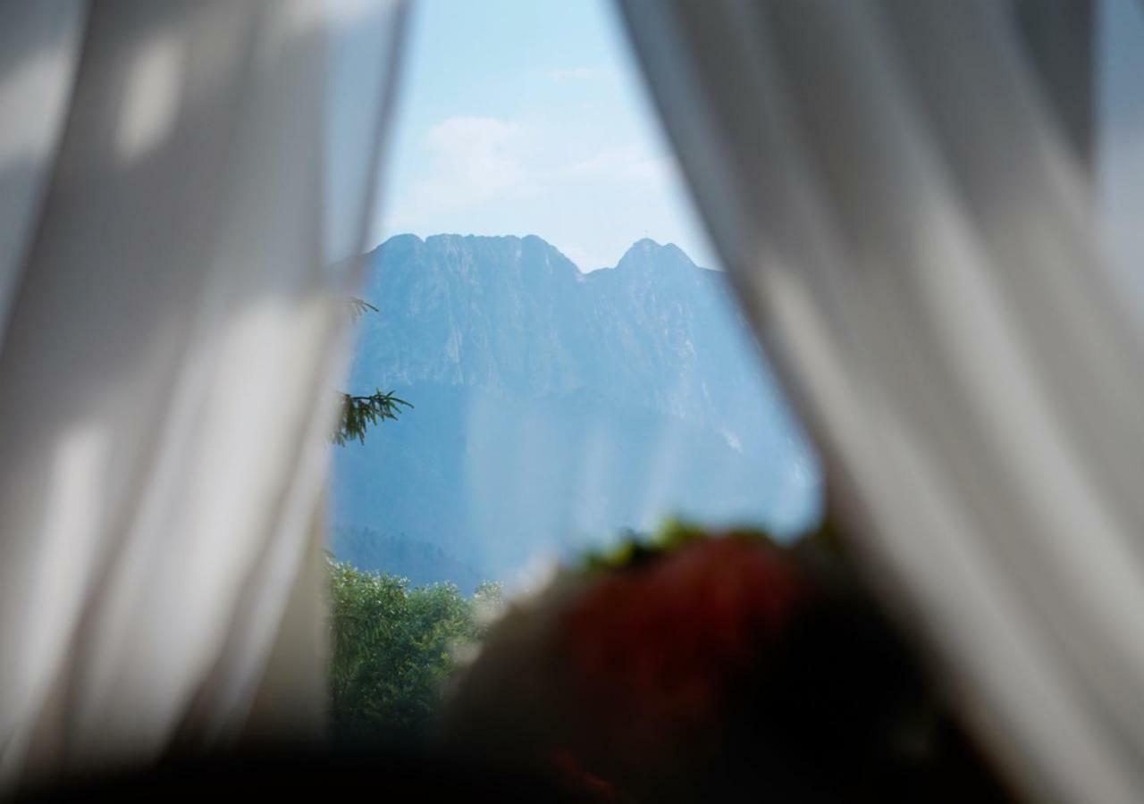Olczański Dom Zakopane Zewnętrze zdjęcie